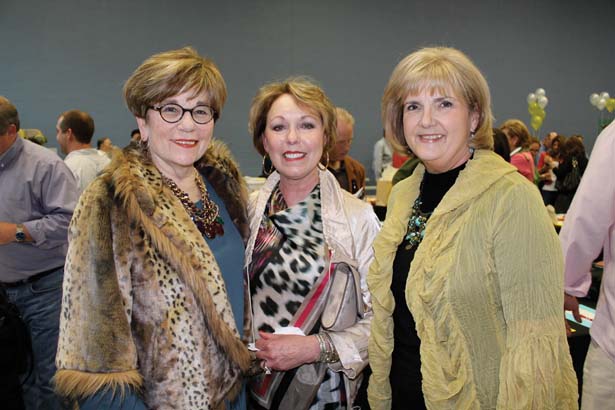 Judi Dietz, Vicki Lackie, Susan Eanes